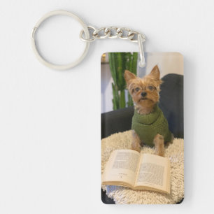 Chien du Yorkshire Terrier