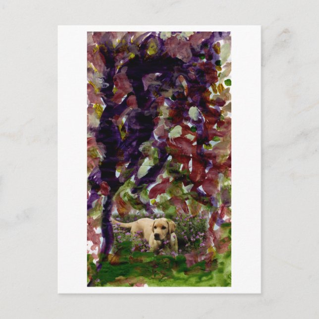 Chien d'une autre carte postale (Devant)