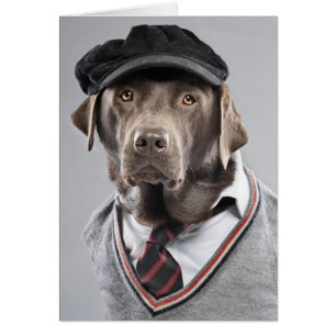 Chien en pull et casquette
