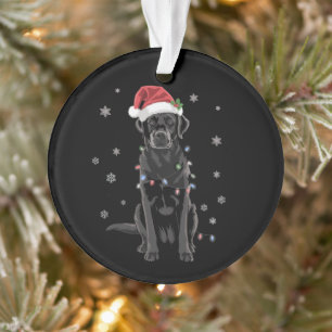 Chien en pyjama avec lumières de sapin de Noël Lab