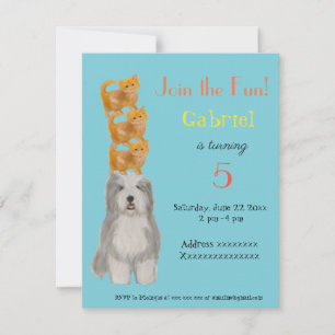 Chien et Chatons, invitation à une fête d'annivers
