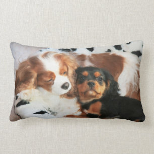 Chien Et Chiot Cavalier Roi Charles Coussin Spanie