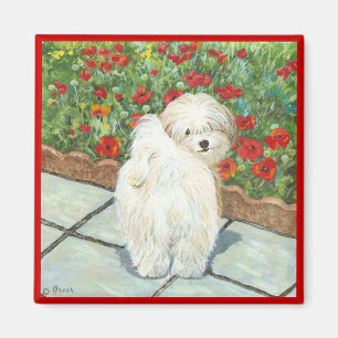 Chien et Populations Havanais Art Imprimer Magnet