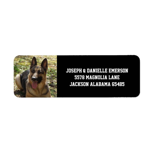 Chien Étiquette de adresse berger allemand (Devant)