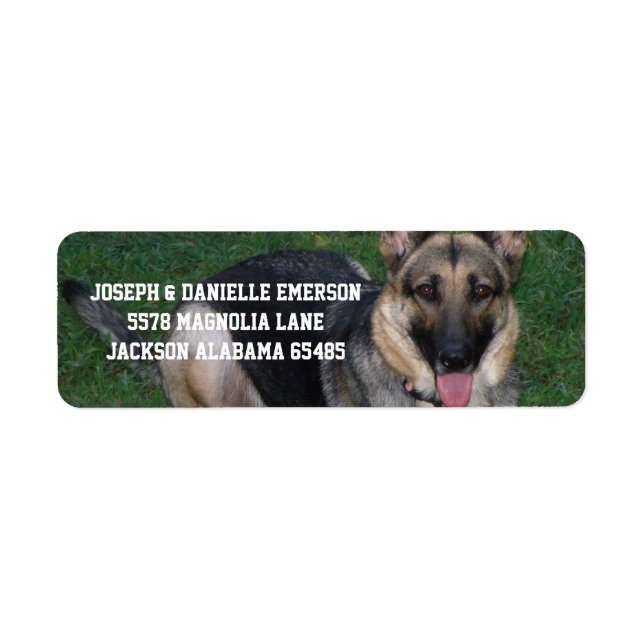Chien Étiquette de adresse berger allemand (Devant)