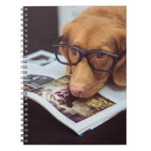 Chien futé avec des verres sur un livre