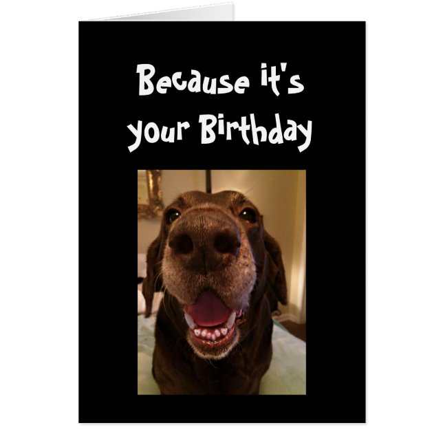 Chien Gros Nez Drôle Anniversaire Amour Chien (Devant)