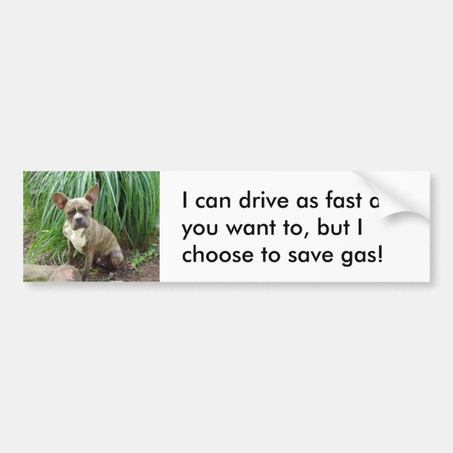 Chien grumpy Save gas Bumper Sticker (Devant)