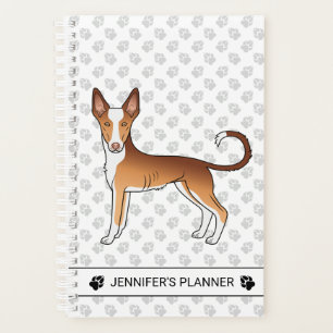 Chien Ibizan Hound à poil lisse rouge et blanc ave