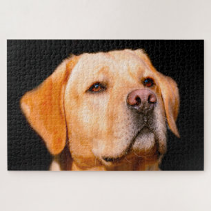 Chien Labrador. Puzzle