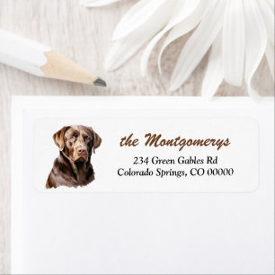 Chien Labrador Retriever au chocolat Adresse de re
