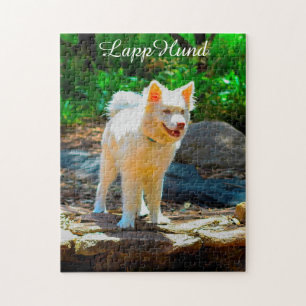 Chien lapin. Jigsaw Puzzle