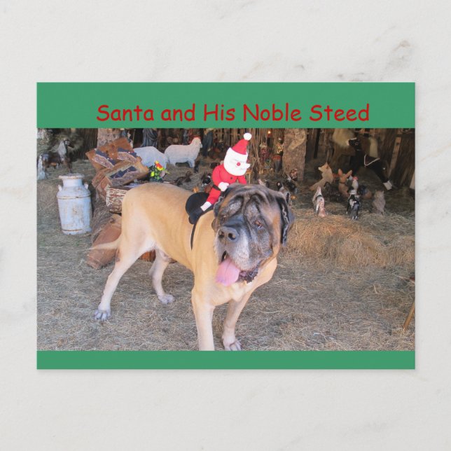 Chien maître père Noël Carte postale de Noël (Devant)