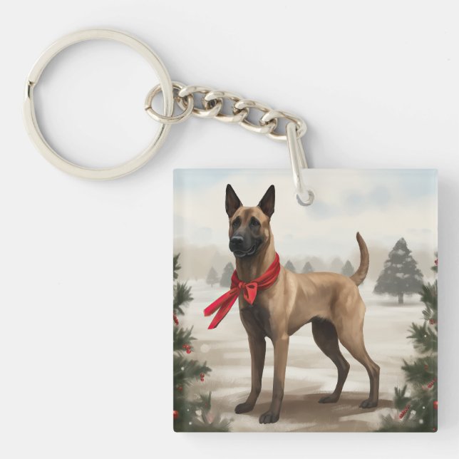 Chien malinois belge à Noël de neige (Devant)