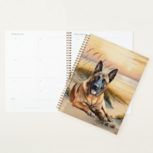 Chien Malinois Belge Anse de la Plage Côtière