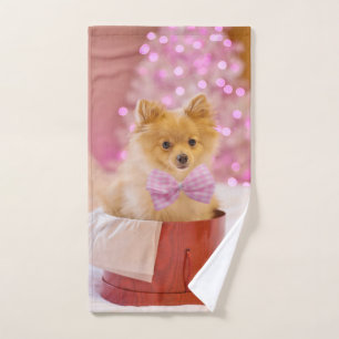 Chien mignon avec cou rose Photographie de Noël