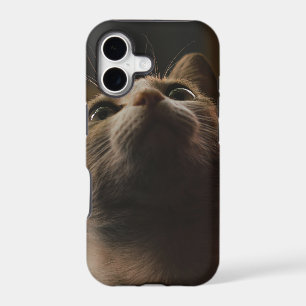 Chien mignon Chat drôle Adorable Kitty Cadeau pour