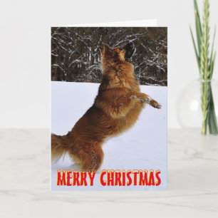 Chien mignon dans la carte de Noël de neige