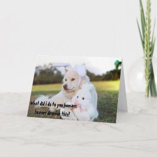 Chien mignon Lapin de Pâques Habille-toi Carte amu