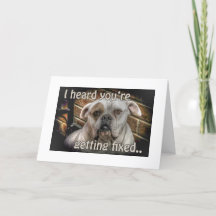 chien Neutre obtenir carte de puits
