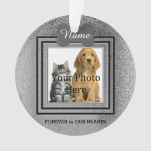 Chien ou Chat Argent Parfait Souvenirs