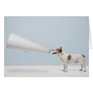 Chien parlant des images   de Getty