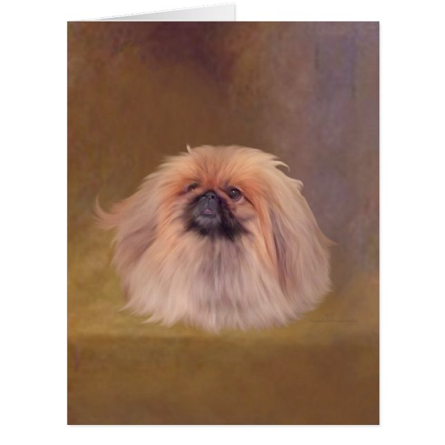 Chien pekingese (Devant)