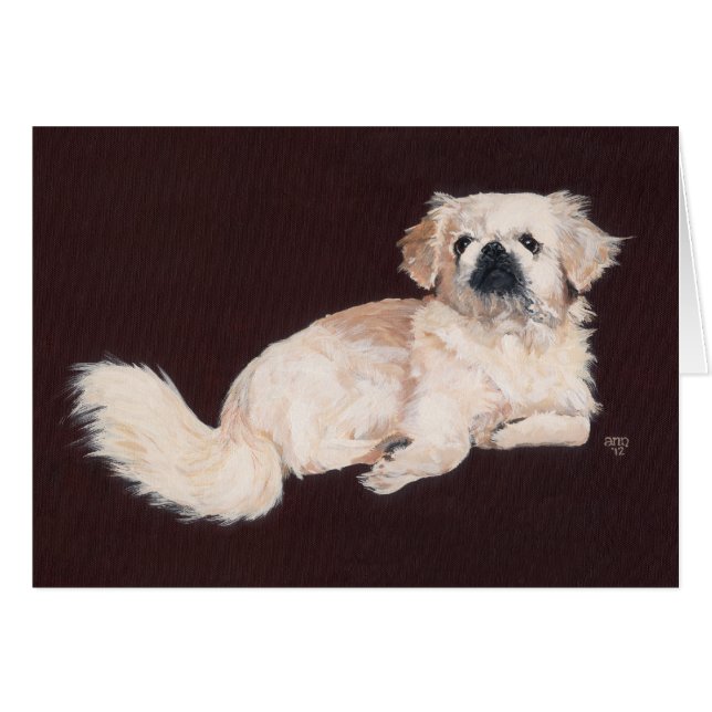 Chien pekingese blanc (Devant horizontal)