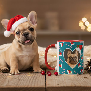 Chien Photo de Noël Santa Hat Turquoise café Mug