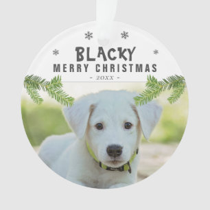 Chien Photo Pine Branch Snowflakes Joyeux Noël 