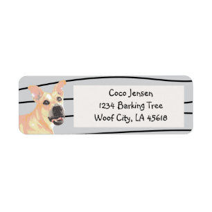 Chien Pit Bull Tan