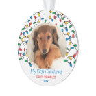 Chien première Noël lumières Noël Chien photo