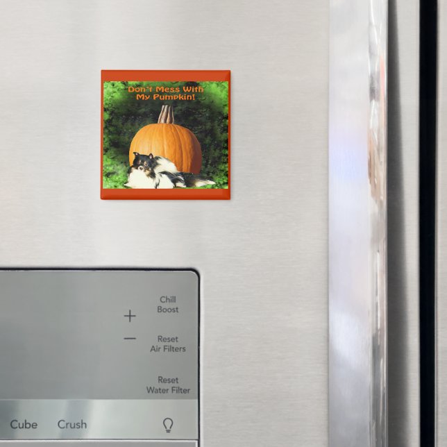 Chien protégeant le grand aimant Citrouille (In situ (réfrigérateur))