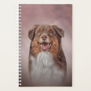 Chien race Australian Shepherd