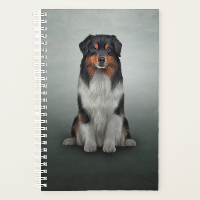 Chien race Australian Shepherd (Devant)