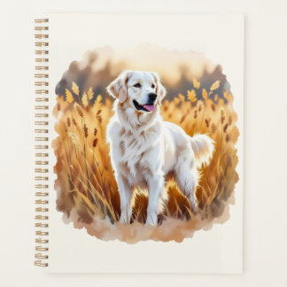 Chien Retriever Golden Blanc