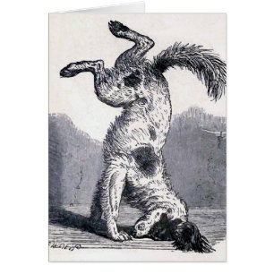 "Chien se tenant sur son principal "