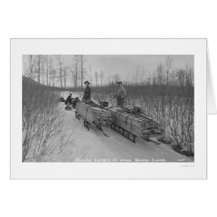 Chien Seward, Alaska 1917 de bois de charpente