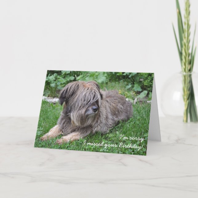 Chien Shaggy carte d'anniversaire tardive (Devant)