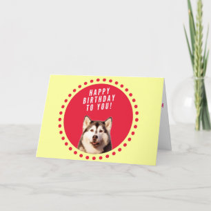 Chien sibérien Husky Heureux Carte de voeux d'anni