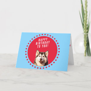 Chien sibérien Husky Heureux Carte de voeux d'anni
