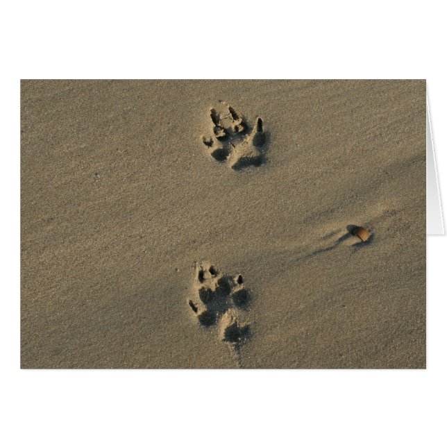 Chien solitaire (Devant horizontal)