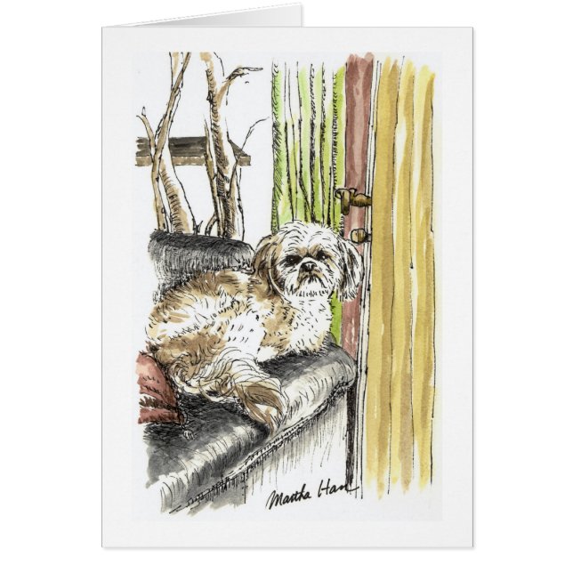 Chien sur des cartes de divan (Devant)
