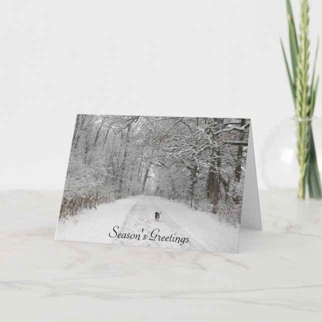 Chien sur la piste Carte de voeux de la saison (Devant)