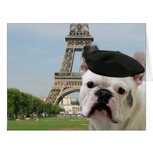 Chien-taureaux français à Paris