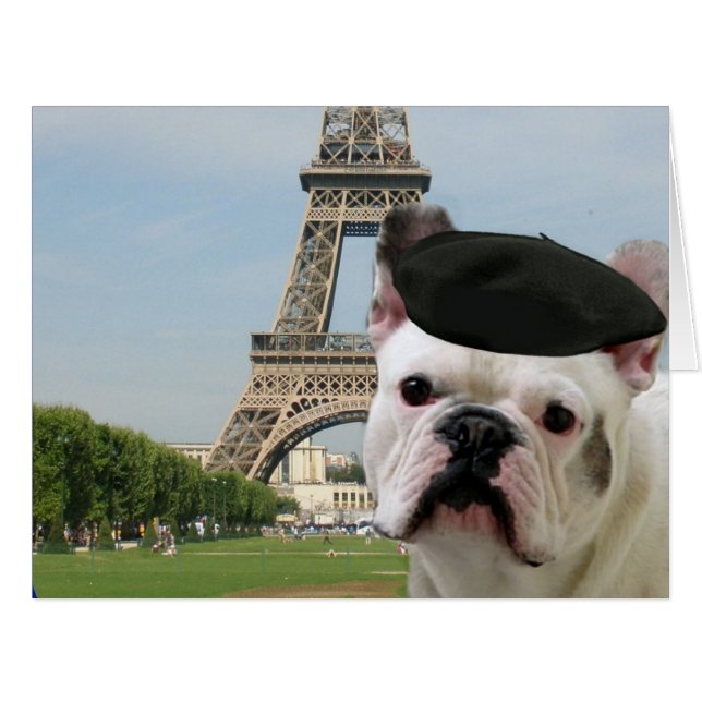 Chien-taureaux français à Paris (Devant horizontal)