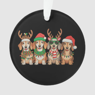 Chien teckel de Noël Lumières de Noël Chapeau de P