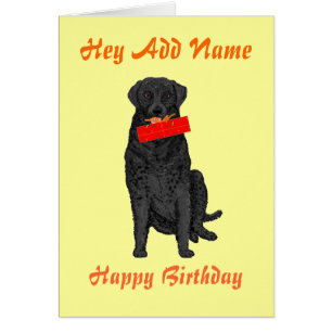 Chien tenant le cadeau d'anniversaire