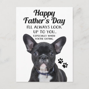 Chien Toujours Chercher Sur Vous Carte Postale Fêt