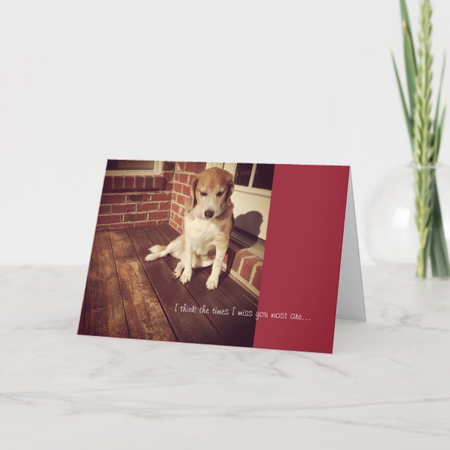 Chien triste qui n'a pas de carte (Devant)
